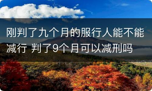 刚判了九个月的服行人能不能减行 判了9个月可以减刑吗