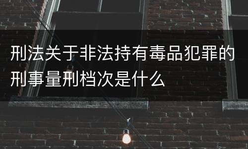 刑法关于非法持有毒品犯罪的刑事量刑档次是什么