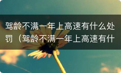 驾龄不满一年上高速有什么处罚（驾龄不满一年上高速有什么处罚嘛）