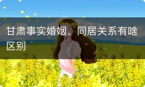甘肃事实婚姻、同居关系有啥区别