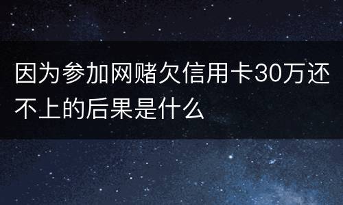 因为参加网赌欠信用卡30万还不上的后果是什么