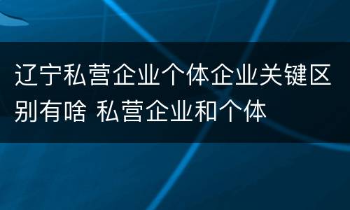 辽宁私营企业个体企业关键区别有啥 私营企业和个体