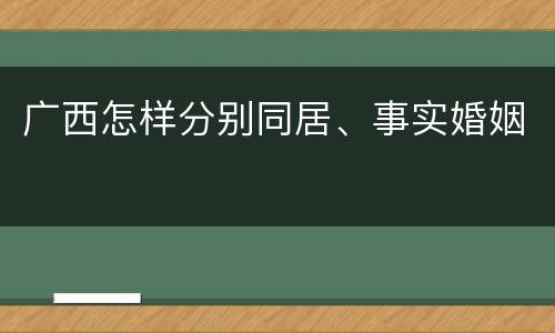 广西怎样分别同居、事实婚姻