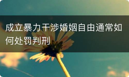 成立暴力干涉婚姻自由通常如何处罚判刑