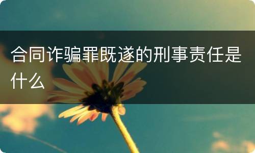 合同诈骗罪既遂的刑事责任是什么