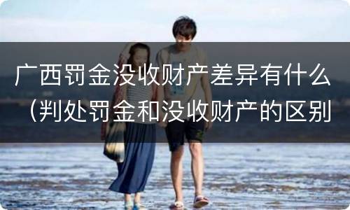 广西罚金没收财产差异有什么（判处罚金和没收财产的区别）