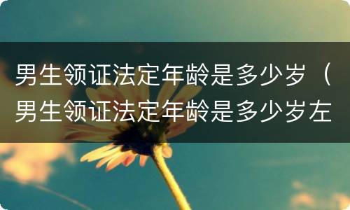 男生领证法定年龄是多少岁（男生领证法定年龄是多少岁左右）