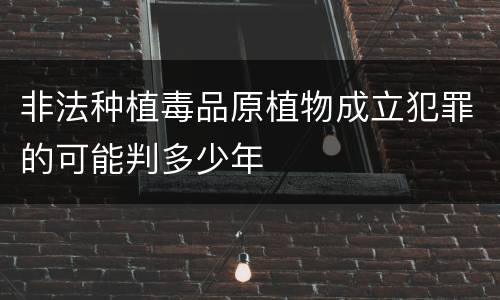 非法种植毒品原植物成立犯罪的可能判多少年