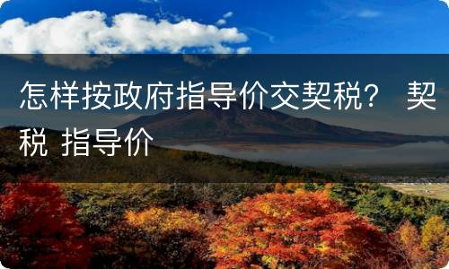 怎样按政府指导价交契税？ 契税 指导价
