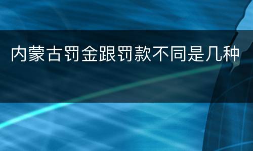 内蒙古罚金跟罚款不同是几种