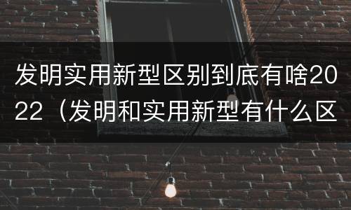 发明实用新型区别到底有啥2022（发明和实用新型有什么区别）