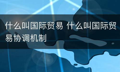 什么叫国际贸易 什么叫国际贸易协调机制