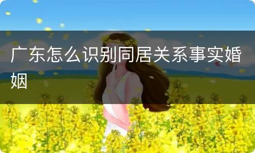广东怎么识别同居关系事实婚姻