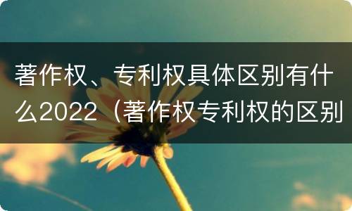 著作权、专利权具体区别有什么2022（著作权专利权的区别）