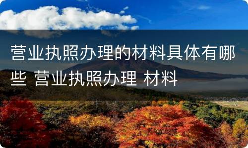 营业执照办理的材料具体有哪些 营业执照办理 材料