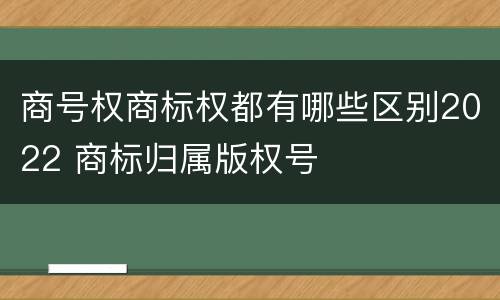 商号权商标权都有哪些区别2022 商标归属版权号