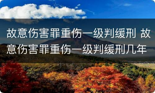 故意伤害罪重伤一级判缓刑 故意伤害罪重伤一级判缓刑几年