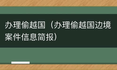 办理偷越国（办理偷越国边境案件信息简报）