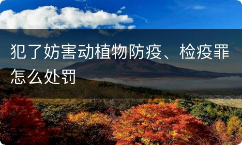 犯了妨害动植物防疫、检疫罪怎么处罚