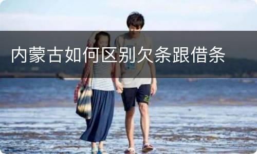 内蒙古如何区别欠条跟借条