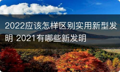 2022应该怎样区别实用新型发明 2021有哪些新发明
