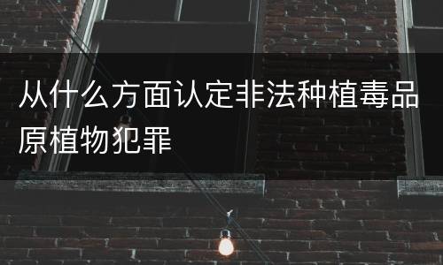 从什么方面认定非法种植毒品原植物犯罪
