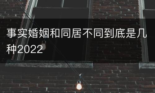 事实婚姻和同居不同到底是几种2022
