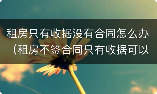 租房只有收据没有合同怎么办（租房不签合同只有收据可以吗）