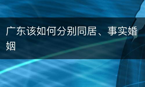 广东该如何分别同居、事实婚姻