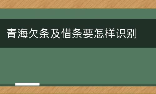 青海欠条及借条要怎样识别
