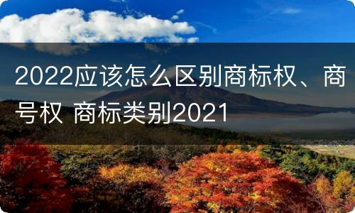 2022应该怎么区别商标权、商号权 商标类别2021