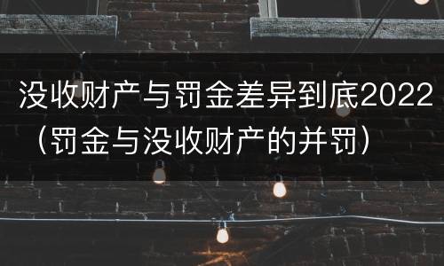 没收财产与罚金差异到底2022（罚金与没收财产的并罚）