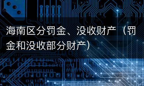 海南区分罚金、没收财产（罚金和没收部分财产）
