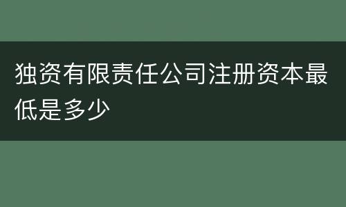 独资有限责任公司注册资本最低是多少
