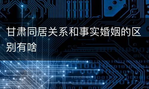 甘肃同居关系和事实婚姻的区别有啥