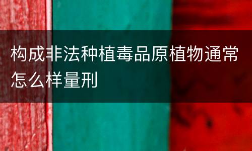 构成非法种植毒品原植物通常怎么样量刑