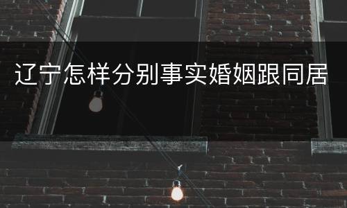 辽宁怎样分别事实婚姻跟同居