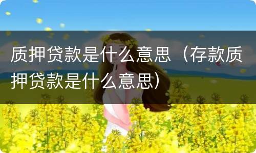 质押贷款是什么意思（存款质押贷款是什么意思）