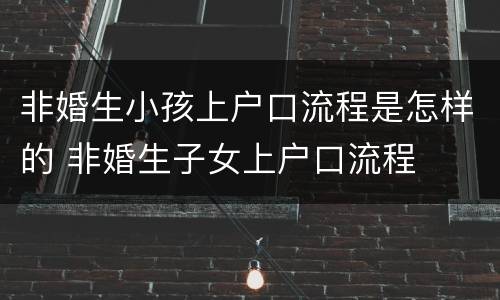 非婚生小孩上户口流程是怎样的 非婚生子女上户口流程