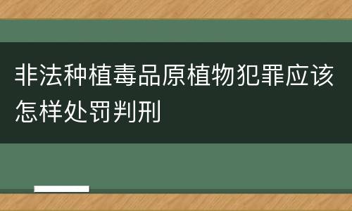 非法种植毒品原植物犯罪应该怎样处罚判刑