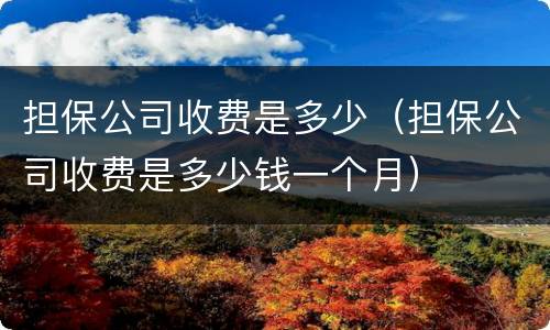 担保公司收费是多少（担保公司收费是多少钱一个月）