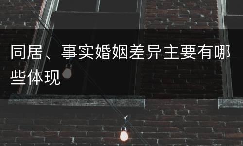 同居、事实婚姻差异主要有哪些体现