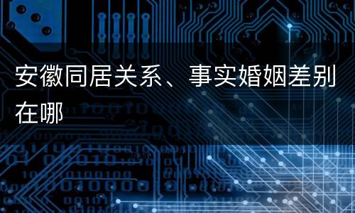 安徽同居关系、事实婚姻差别在哪