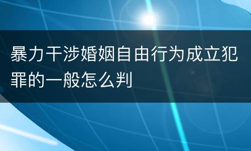 暴力干涉婚姻自由行为成立犯罪的一般怎么判