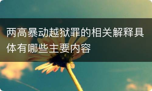 两高暴动越狱罪的相关解释具体有哪些主要内容