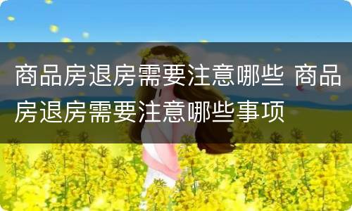 商品房退房需要注意哪些 商品房退房需要注意哪些事项