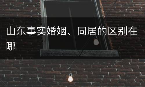 山东事实婚姻、同居的区别在哪