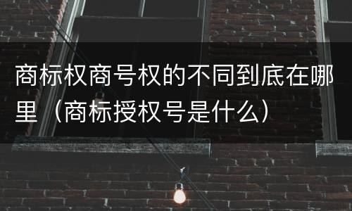 商标权商号权的不同到底在哪里（商标授权号是什么）