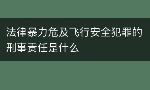 法律暴力危及飞行安全犯罪的刑事责任是什么