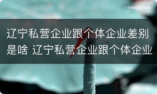 辽宁私营企业跟个体企业差别是啥 辽宁私营企业跟个体企业差别是啥呀